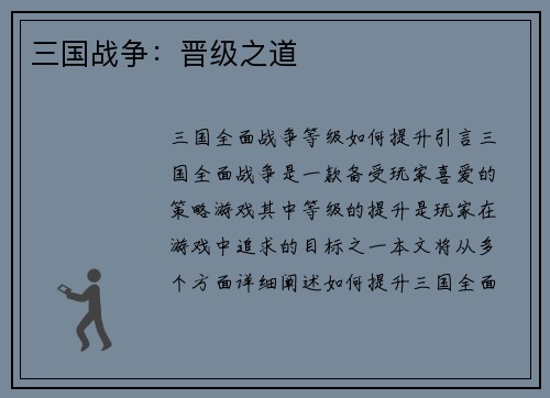 三国战争：晋级之道